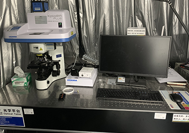 In-situ Raman spectrometer